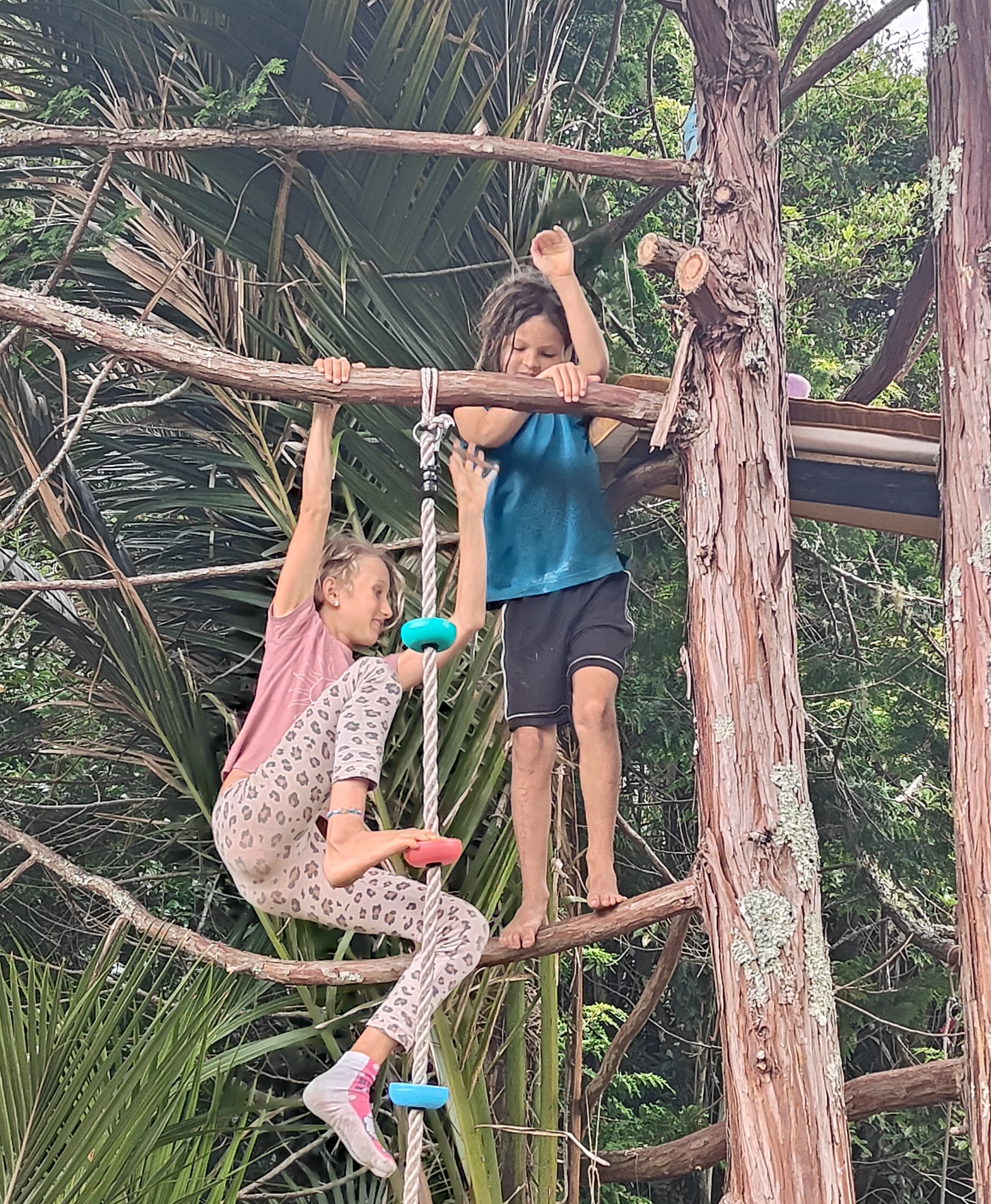 Three children climbing the rustic tree structure