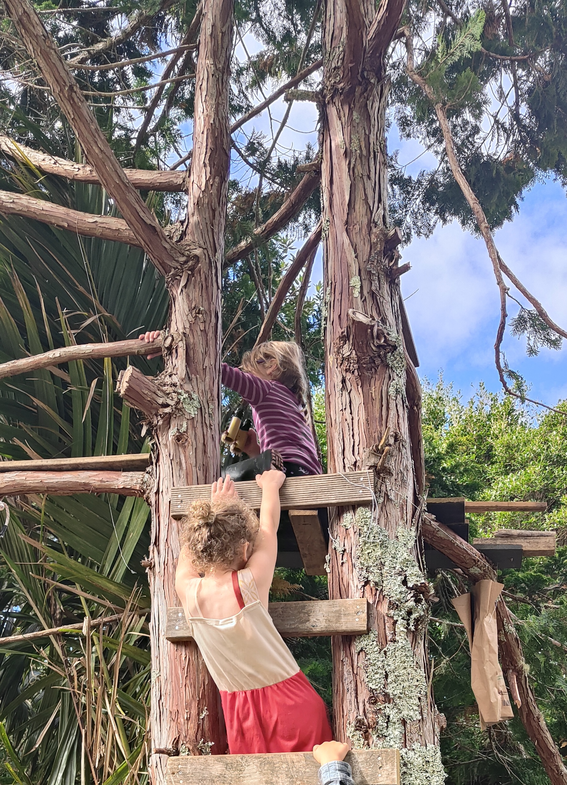 Children climbing the tree structure at The Bush Base, Waiatarua