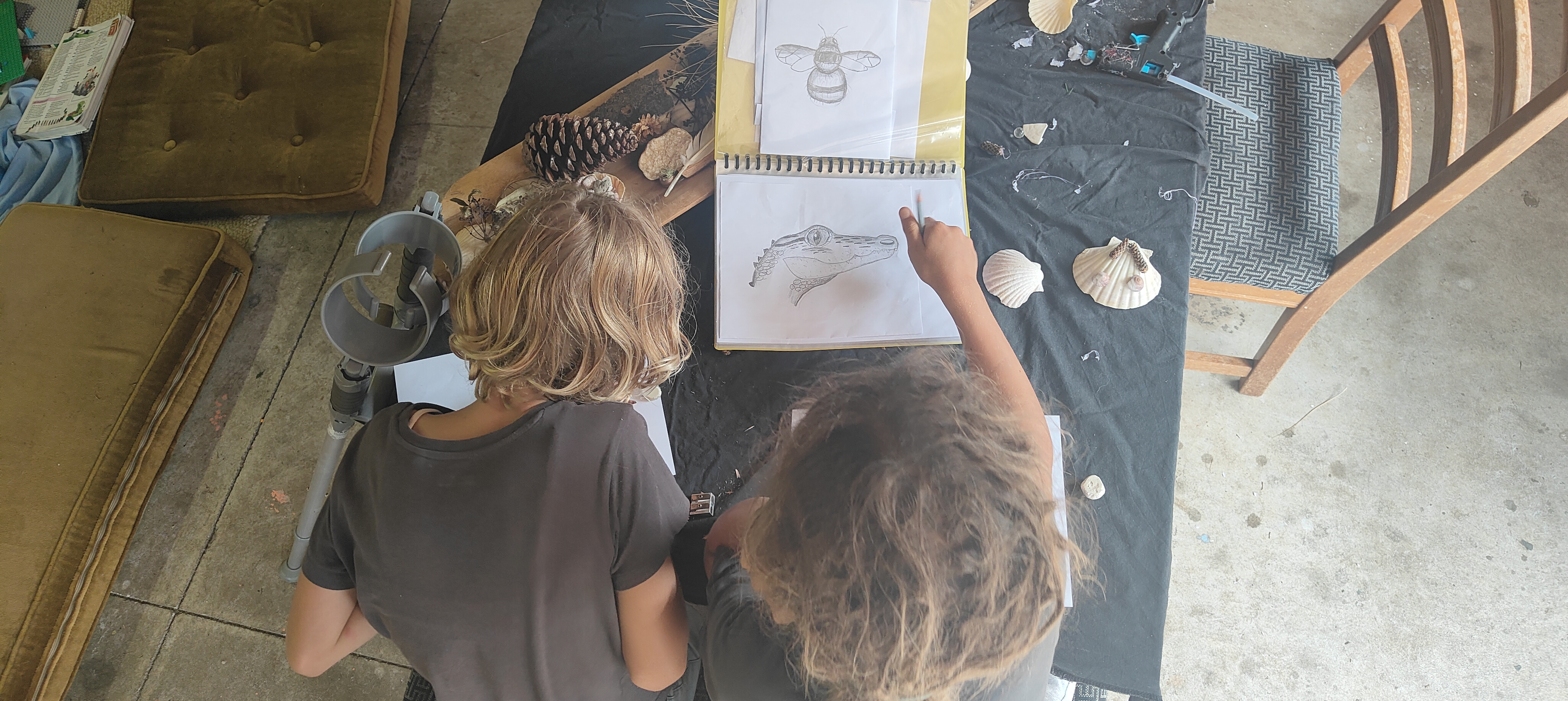 Children sketching from nature specimens at The Bush Base