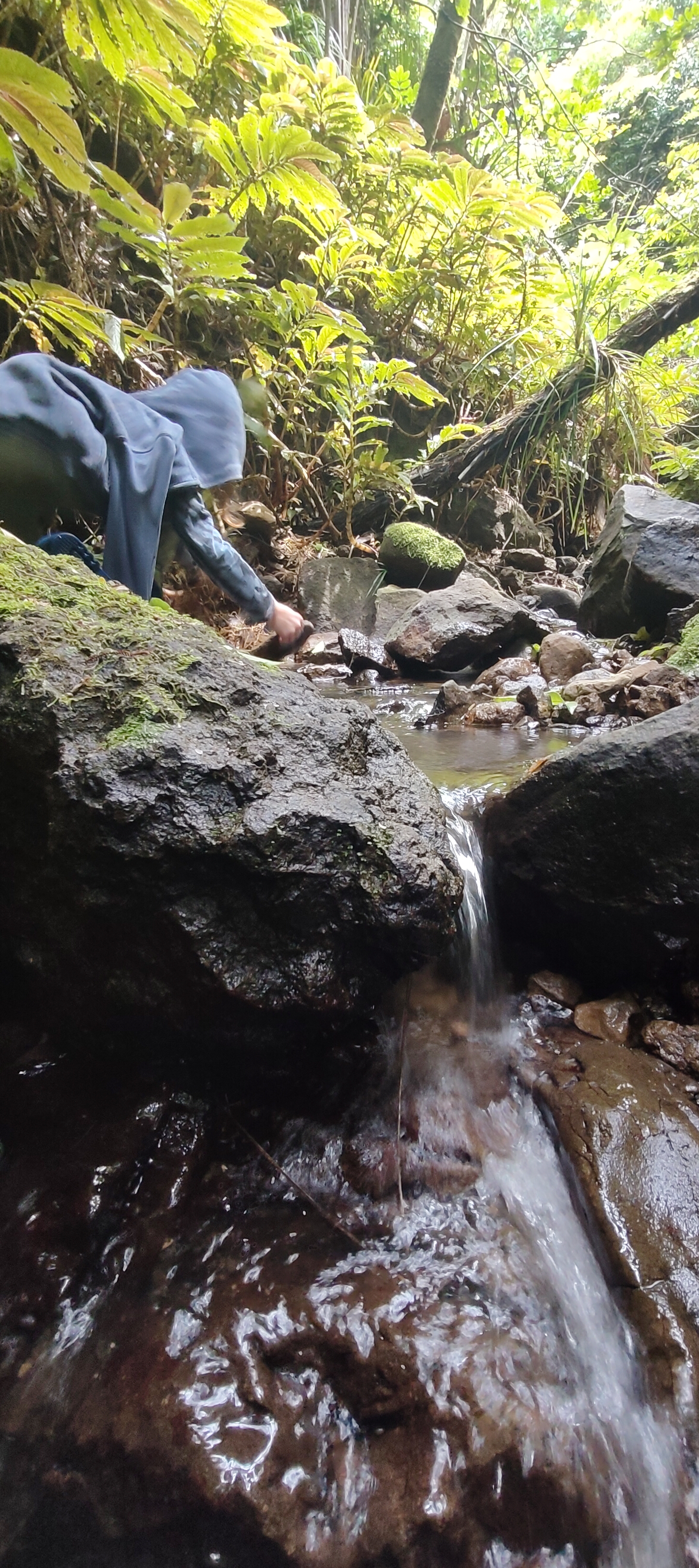 Child exploring a waterfall and stream in the native bush at The Bush Base